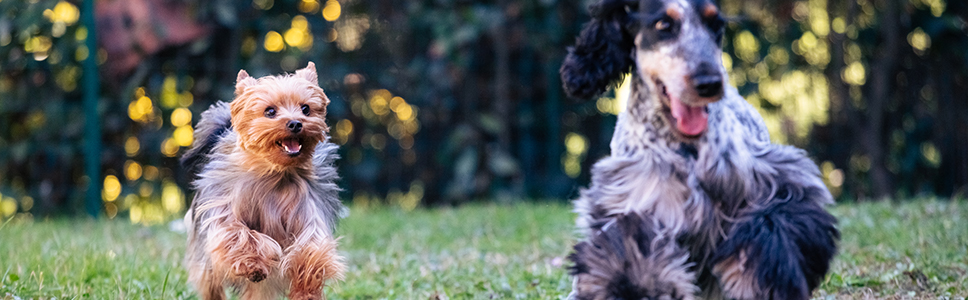 Weitere Informationen